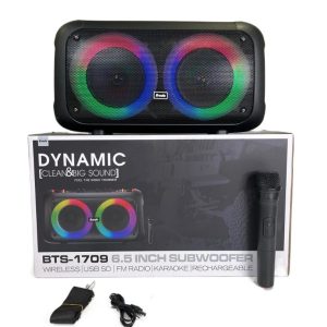 Brodu bts speaker